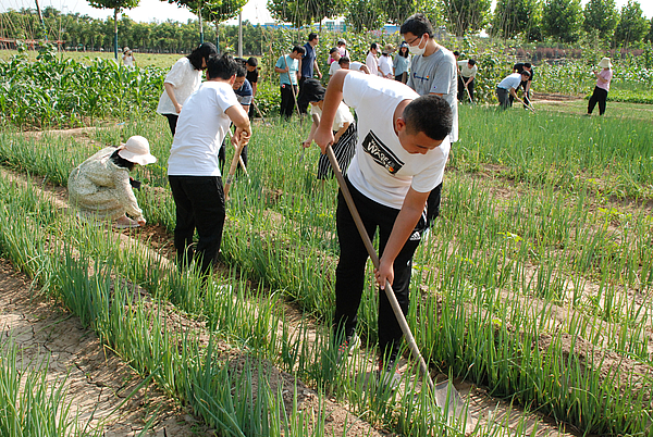 現場采摘 (3).JPG